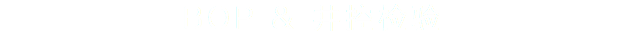BOP & 井控检验